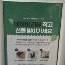 오늘도 예쁜 그루밍 | 강동구애견미용 추천｜가위컷 잘하는 상일동 위위그루밍, 믿고 맡기는 동네 단골 미용실