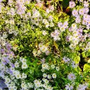 종명랜드 이미지