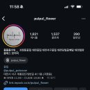 풀풀플라워 이미지