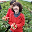 우후농장 이미지