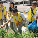 안양3동주민센터 이미지