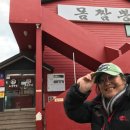 제주에 산다 이미지