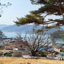 부윤목장 티스토리