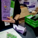 코엑스 마곡 르웨스트 | 2024 마켓컬리 푸드페스타 코엑스 마곡 르웨스트 후기