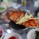 산꼼장어 이미지