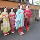 일본 게이샤(芸者)의 세계 이미지