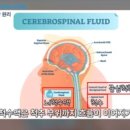 자율진동
