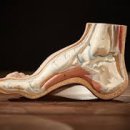 역곡신발 이미지