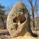 1월 31일 토요당일 -＜기암괴석의 향연＞- 울산 마골산+동축산+염포정 신청안내(44인승) 이미지