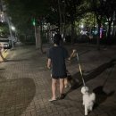 인성실업(주) | 지난 여름은 가슴에 묻고 가을을 맞이하자