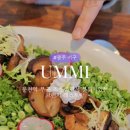 음미(Ummi)