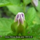 한민농장 이미지