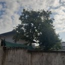 서편네민박 이미지