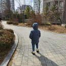버무리떡볶이 고운점