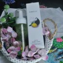 코코피부 이미지