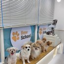 바우스쿨 이미지