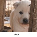 비에이치씨서울 이미지