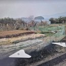 다보부동산중개사무소 이미지