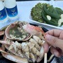 내돈내산 강원도 동해바다 묵호항 가성비 횟집 ‘사라수산’ 자연산 회, 대게찜 포장 가격