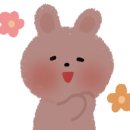 영쓰리헤어 이미지