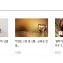 리에이즈 이미지