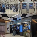 김포세계로약국 | 김포공항 국내선 전망대 펫파크 그리고 제주에어