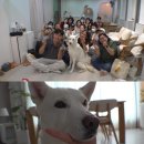 풍이농장 이미지