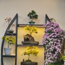 유성성모마취통증의학과의원 이미지