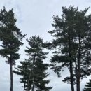 세연목장 이미지