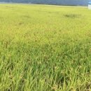 미산정미소 이미지