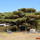 부여(임천)-15 이미지