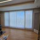 시공-나비 이미지