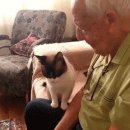 할아버지를 위로하는 고양이 이미지
