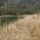 백금2리경로당 Daum카페