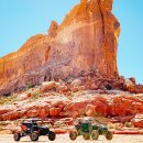 Beauty in Dog's 이미지