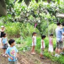 사슴이랑 배랑 농원 이미지