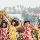 내장치안센터 이미지