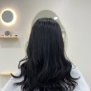 뮤즈 앤 포레 이미지