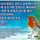 이창욱: (예화지식) = 439 이미지