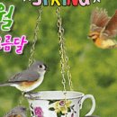 오름달 이미지