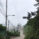 씨유 부산오륙도점 | 부산 뚜벅이 여행 - 이기대 해안 산책로? NO, 트래킹 코스!