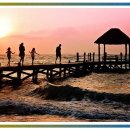 세탁하다 이미지