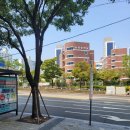 좌산초등학교 주변 이미지