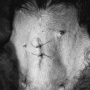 개금동물병원 이미지