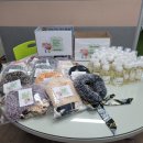 대천여자중학교 이미지