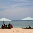 빠당빠당 이미지