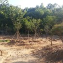 밀알의 집 이미지