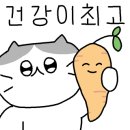 먼지사냥꾼 이미지