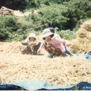 덕촌마을회관 이미지