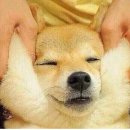 연세림치과 이미지